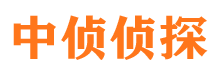 卢氏寻人公司